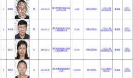 龙岩爆料记者名单最新,揭秘幕后真相