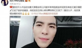 向华强儿子爆料视频最新,独家视频曝光娱乐圈惊天秘密