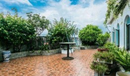 杭州新花园爆料案件最新,揭秘背后惊人真相